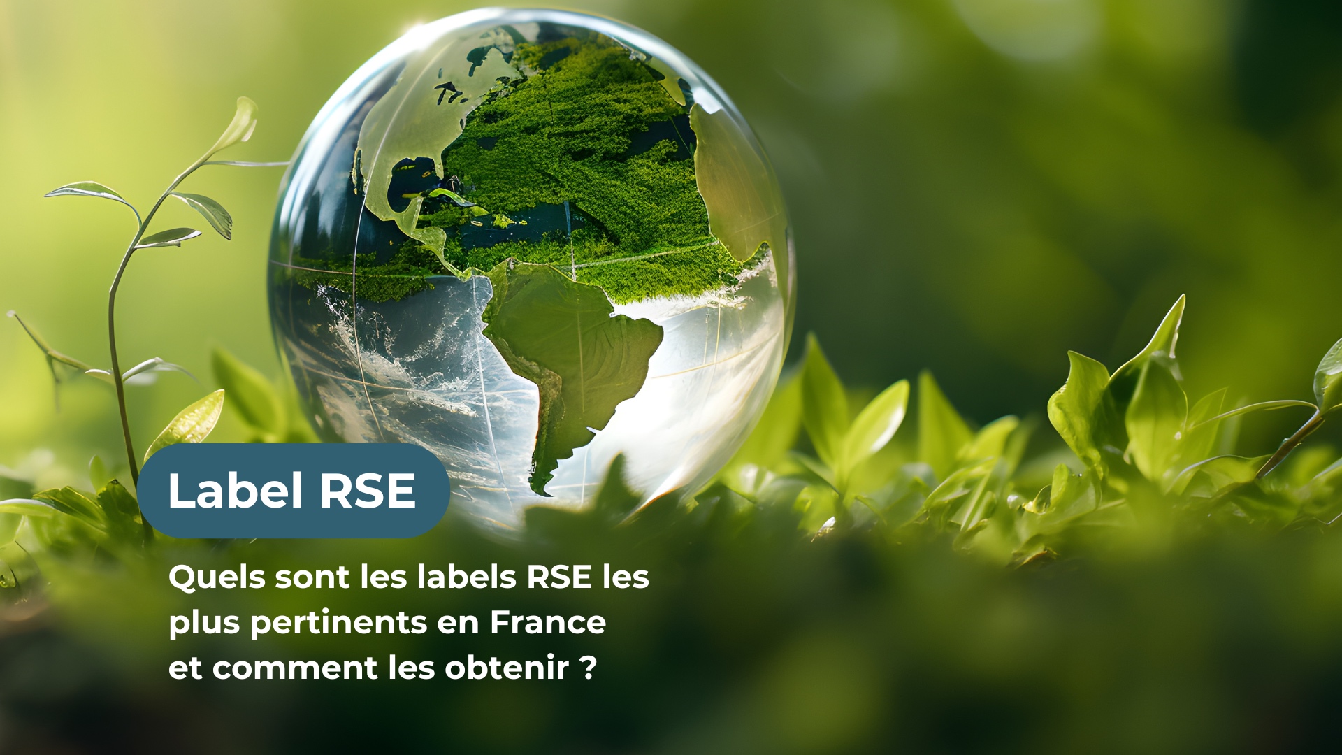 B Corp Ecovadis Iso Lucie Tout Savoir Sur Les Labels Rse Et